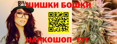 гидра Гатчина