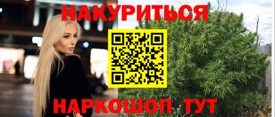 гидра Гатчина