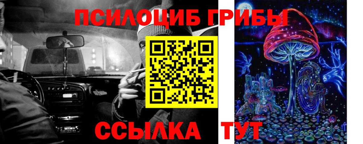 Нижнеудинск  Псилоцибиновые грибы ЛСД  Вход с VPN 